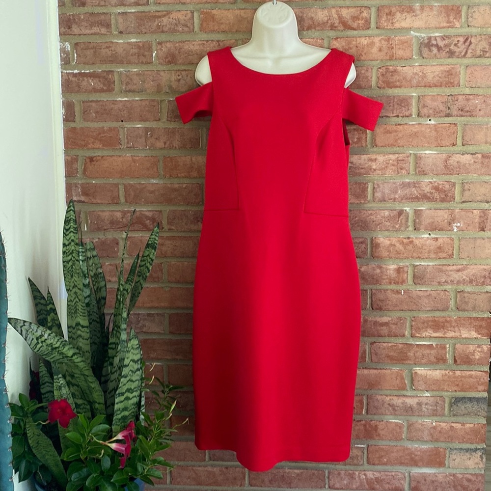 Gorgeous Red Dress! Vince Camuto Size 12